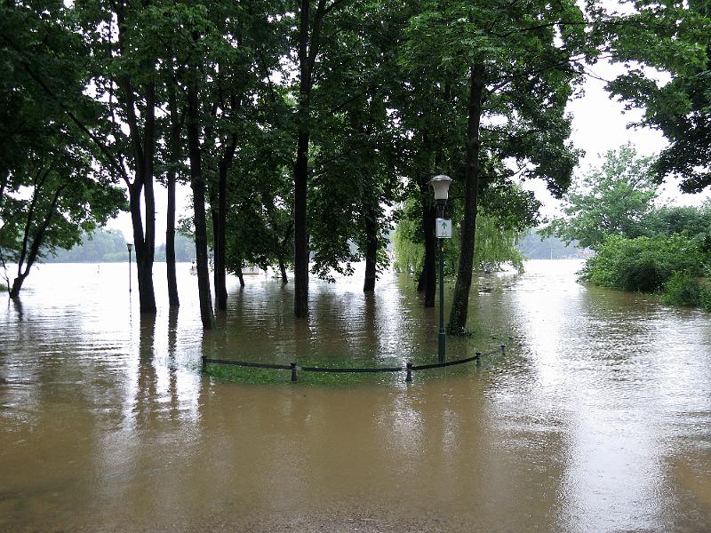 Hochwasser (75).JPG